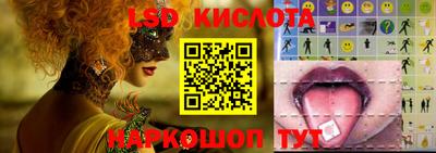 Альфа ПВП Краснознаменск