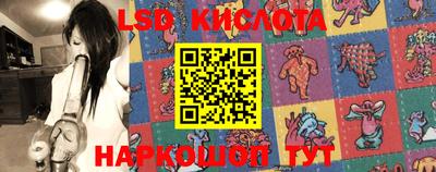 ПСИЛОЦИБИНОВЫЕ ГРИБЫ Краснодар