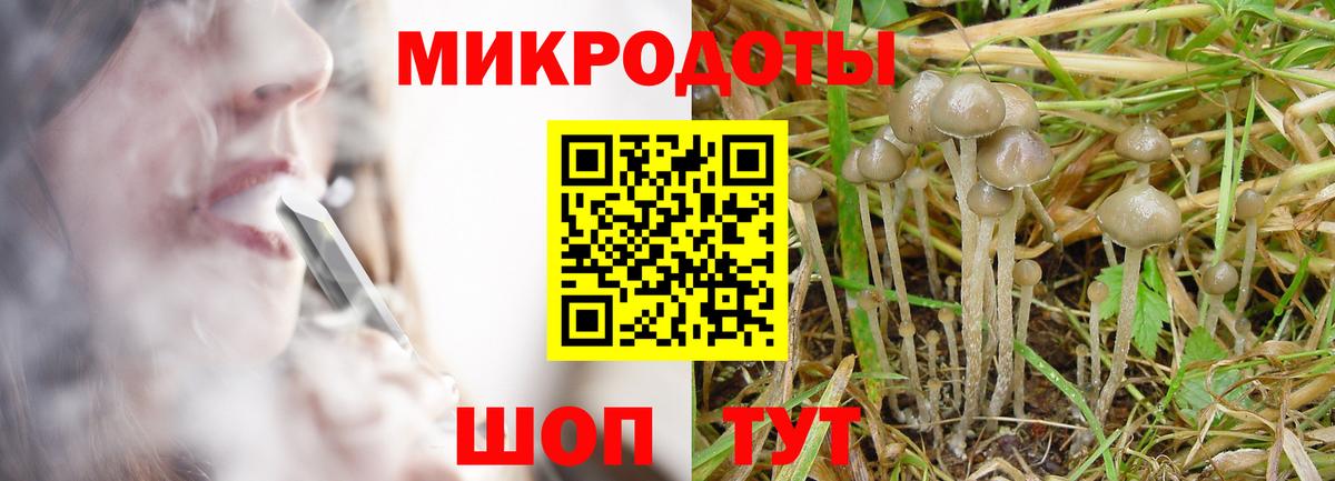 Зима  Псилоцибиновые грибы Psilocybe  хочу наркоту  Вход с VPN 