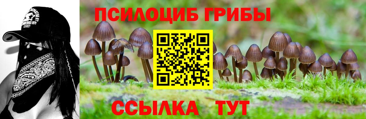 Псилоцибиновые грибы мухоморы Зима